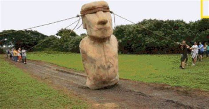 30 GIFs That Explain The World Around Us