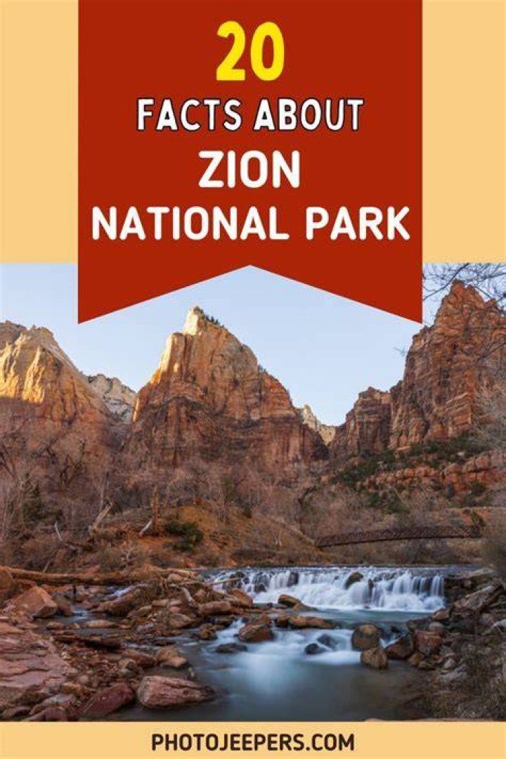 9 Interesting Facts about Zion Broadnax&nbsp;