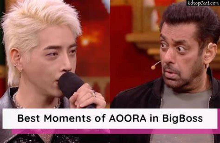 Aoora in Bigg Boss 17