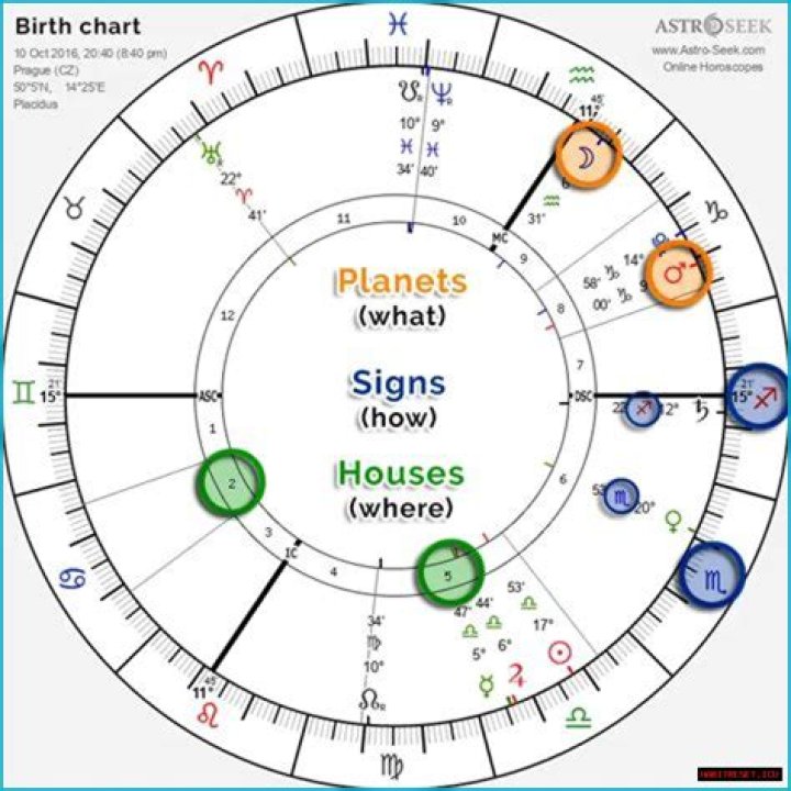 Astrology Birth Chart of Michael Heverly (Model) 2024