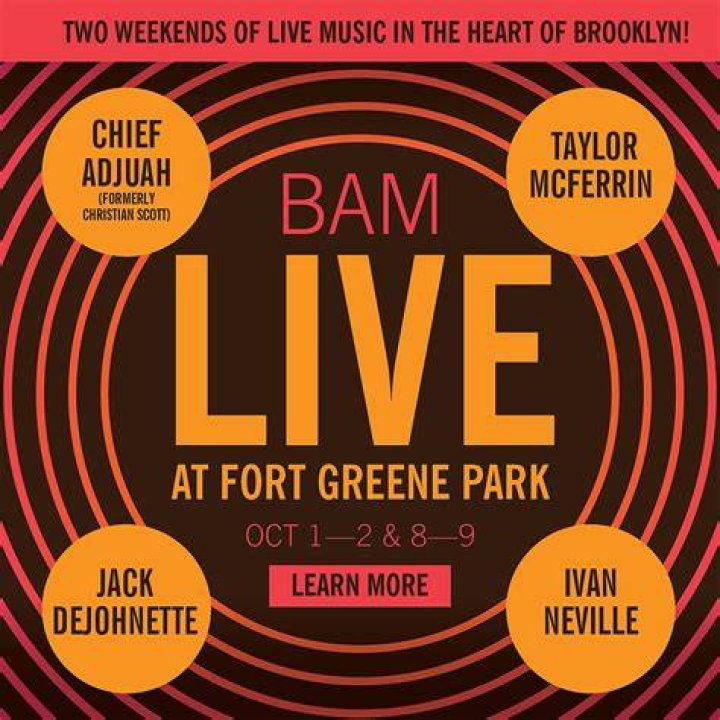 Bam Fort Greene