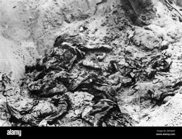 Bodies From The Katyn Massacre
