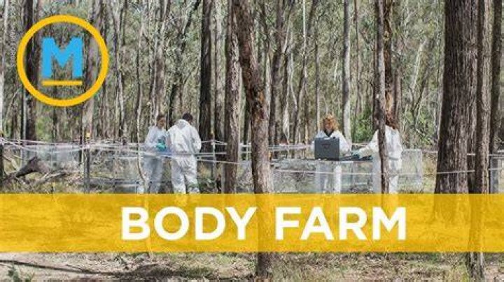 Body Farms Pictures