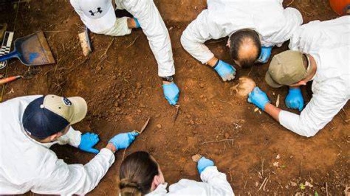 Body Farms