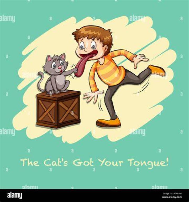 Cat Got Your Tongue