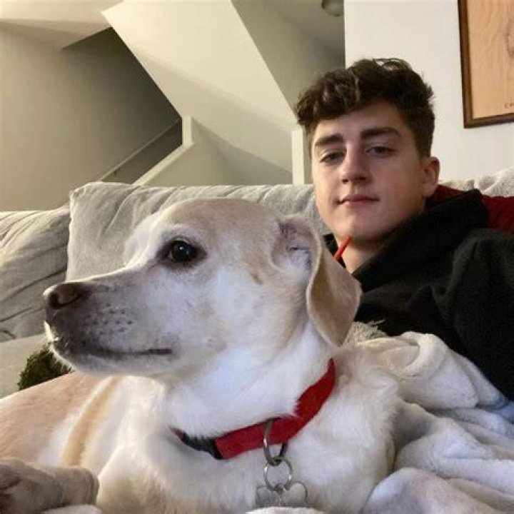 Danny Gonzalez has a pet dog