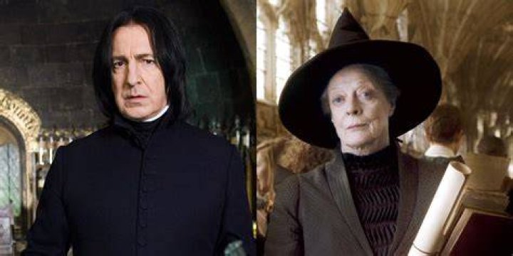Does Professor McGonagall like Harry?