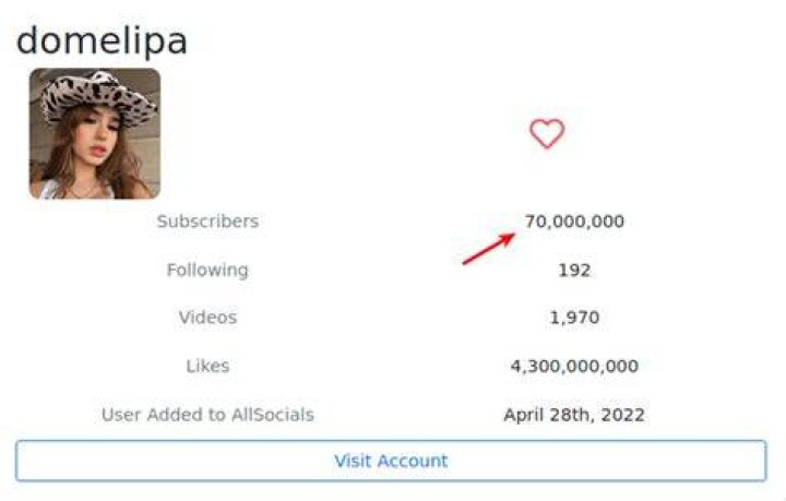 Domelipa Tiktok account has 32+ million fans as of May 2021