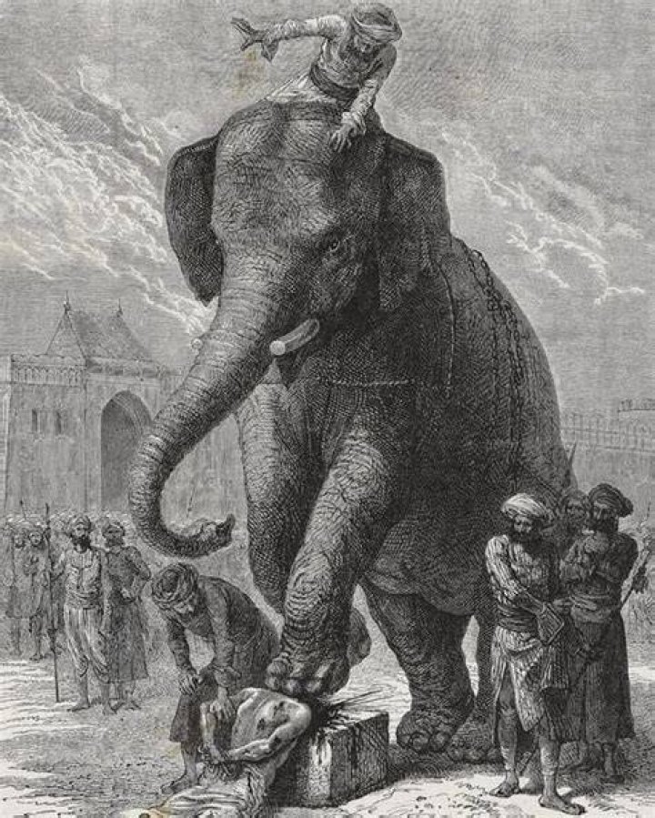 Execution By Elephant