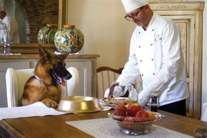 Gunther Richest Dog In The World