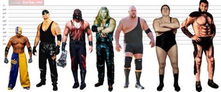 Height of Andre The Giant