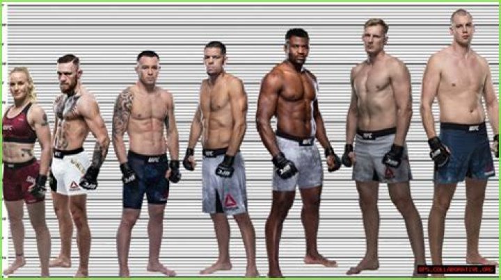 Height of Conor McGregor