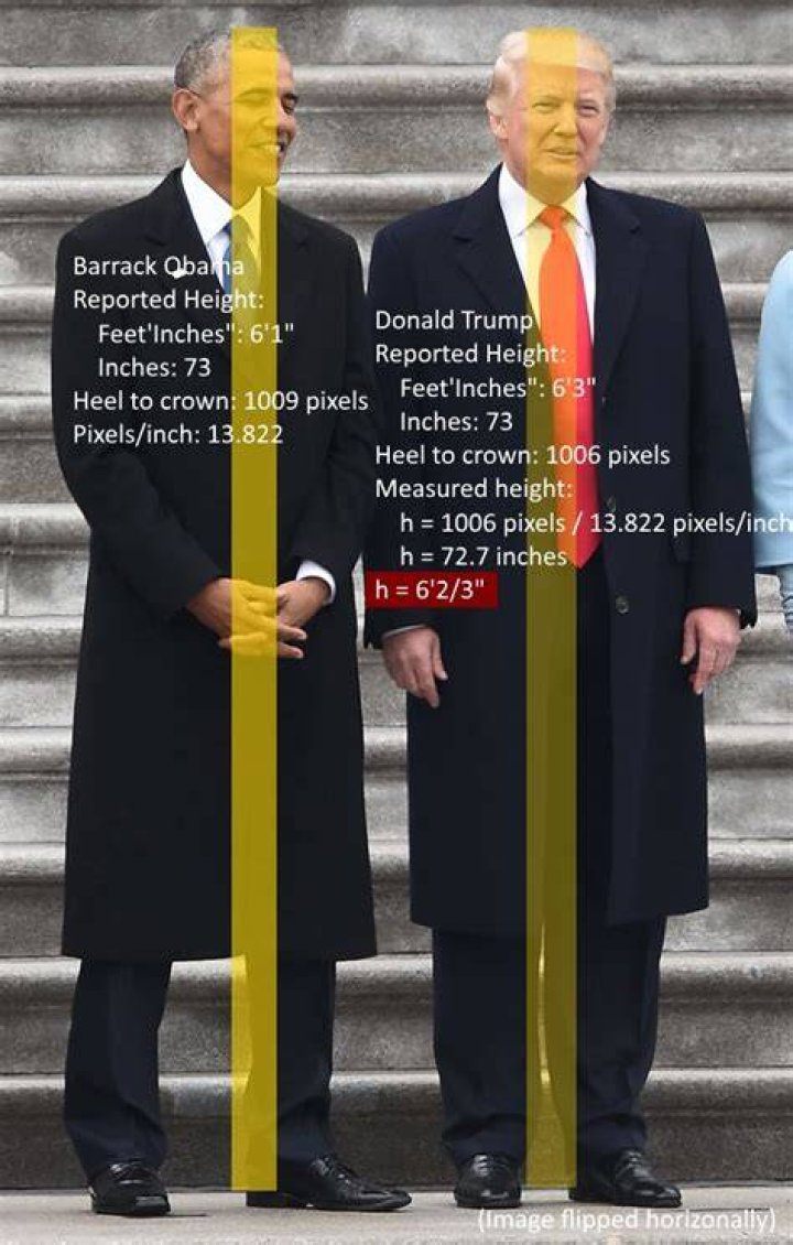 Height of Donald Trump