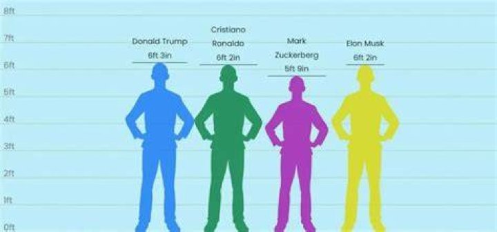 Height of Elon Musk