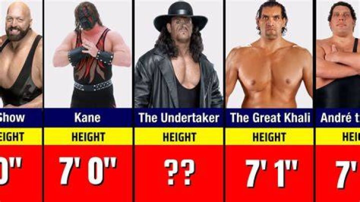 Height of Kane
