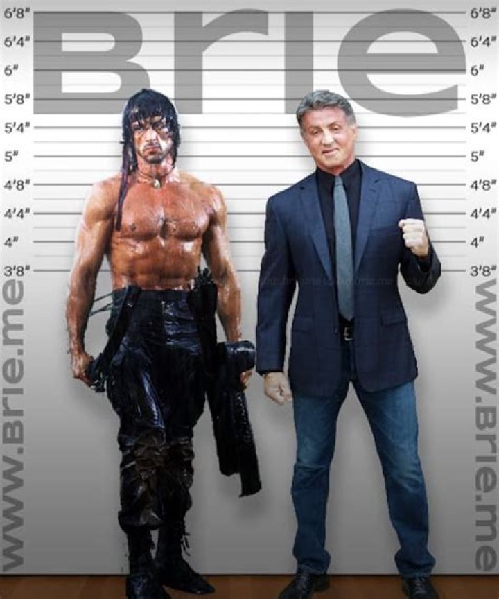 Height of Sylvester Stallone