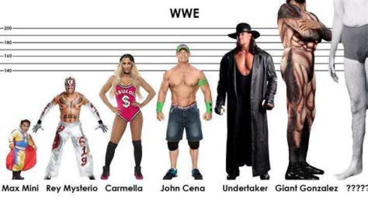 Height of The Undertaker