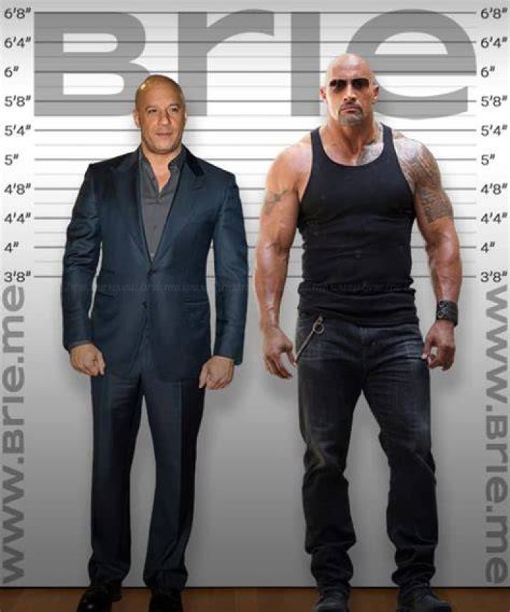 Height of Vin Diesel
