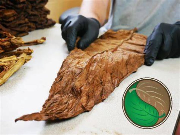 How To Roll A Fronto Leaf With G Perico