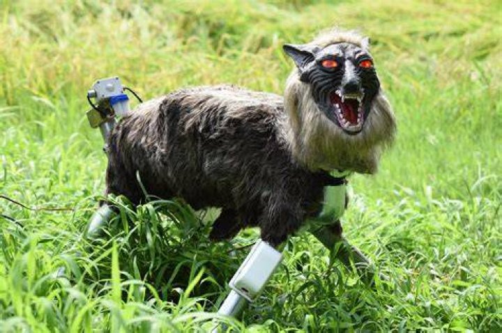 Japanese Robot Wolf