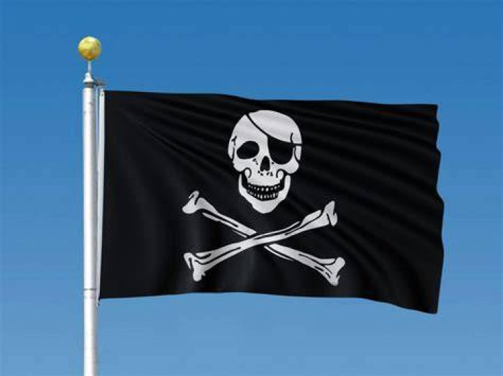 Jolly Roger Flag In Florida