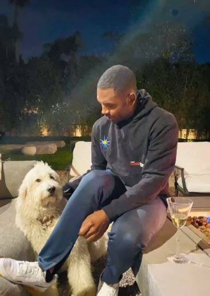 Justin Sylvester loves animals