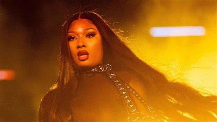 Megan Thee Stallion Net Worth 2023: What Is She Worth?