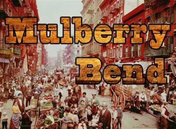 Mulberry Bend And Five Points Gangs