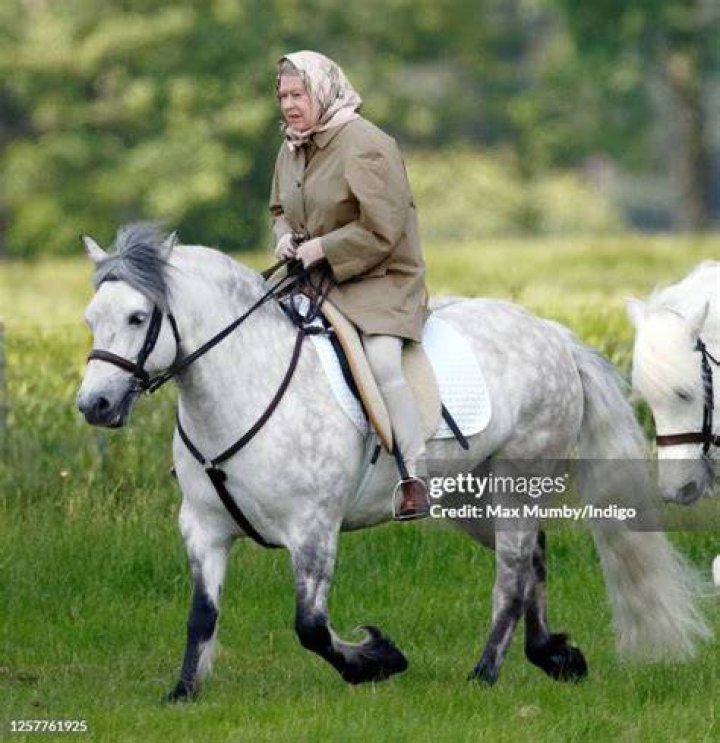 Queen Elizabeth Ii Side Horse