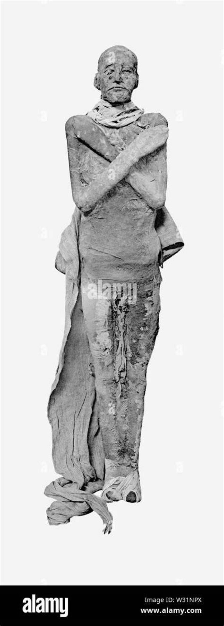 Ramses III Mummy