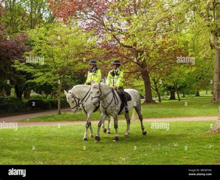 Riding A Horse Through Central London