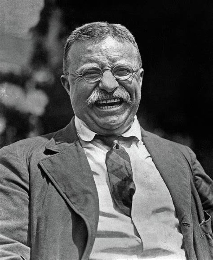 Roosevelt Smile