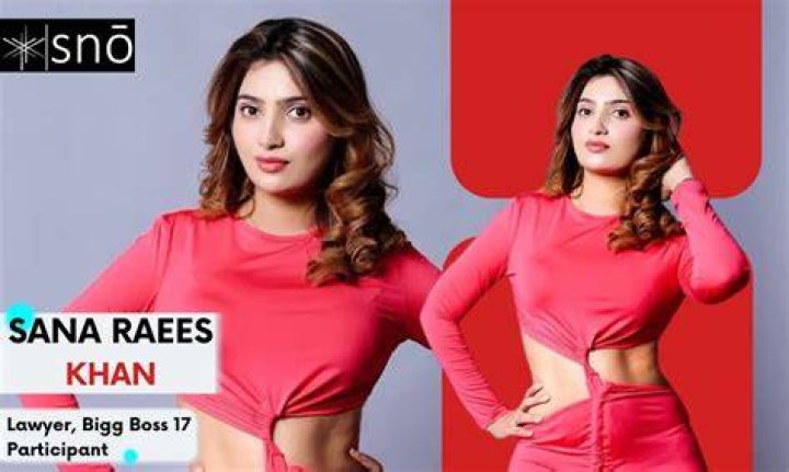 Sana Raees Khan net worth