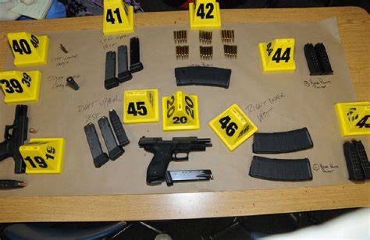 Sandy Hook Gun