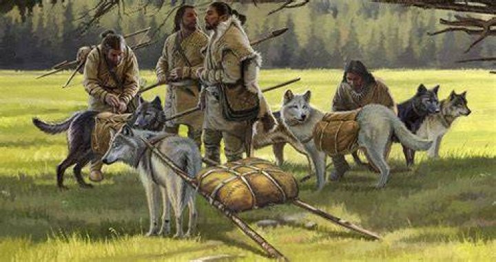 Settlers With Dogs