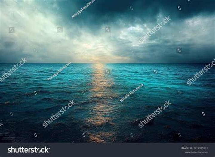 Shutterstock