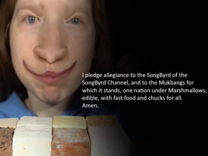 Songbyrd ASMR
