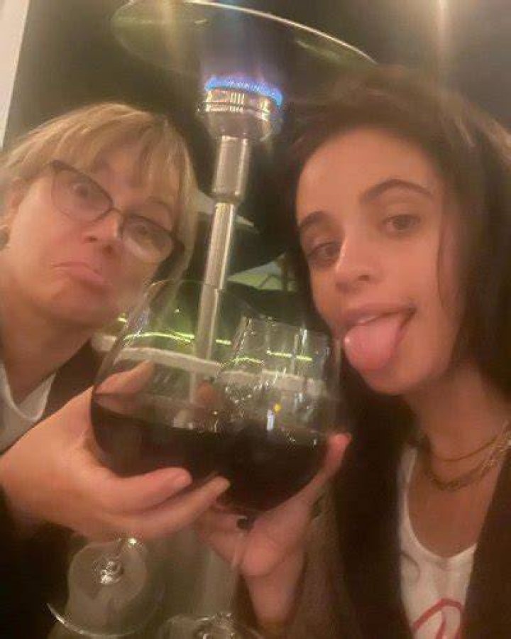 Supportive Mama! Camila Cabello Drinks Wine With Mom Following Shawn Mendes Split: 'Big Fat Dump'