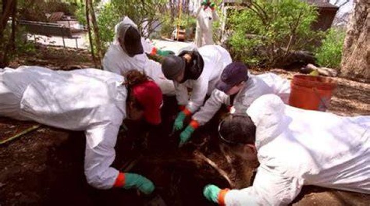 Tennessee Body Farm