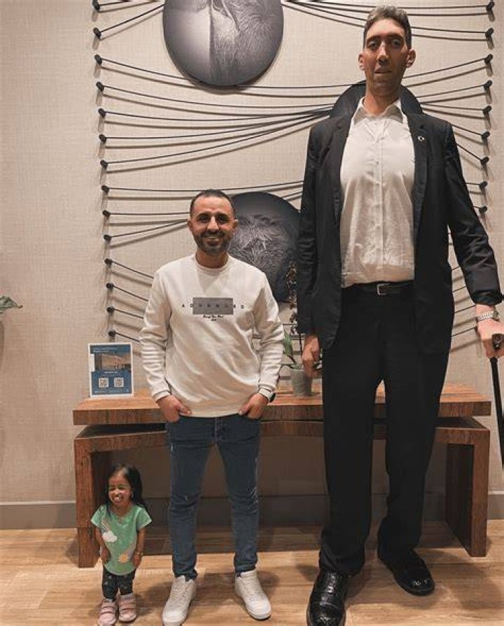 Victoria: Tallest to Shortest
