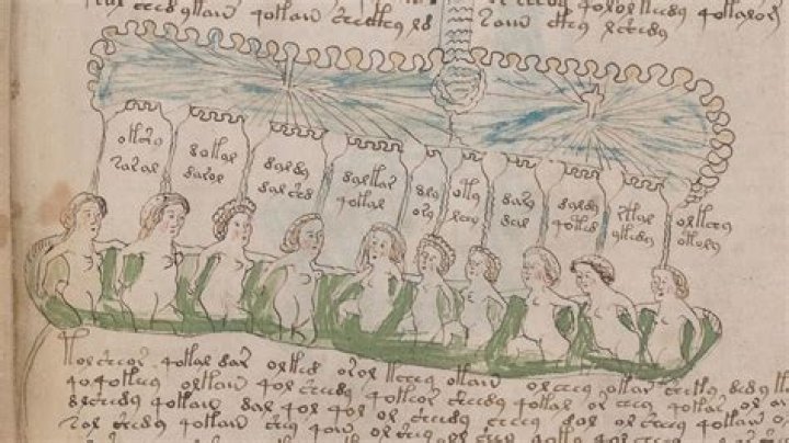 Voynich Manuscript Nymphs
