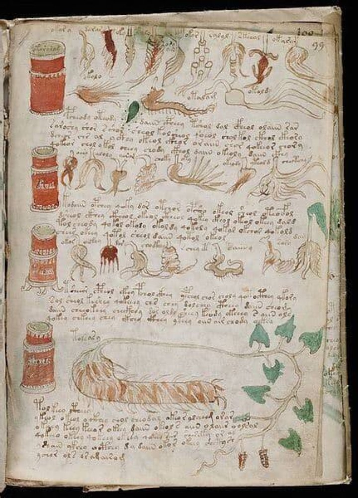 Voynich Manuscript