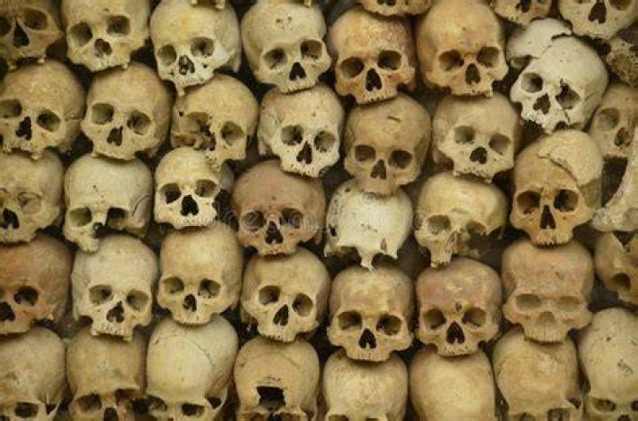 Wall Of Skulls