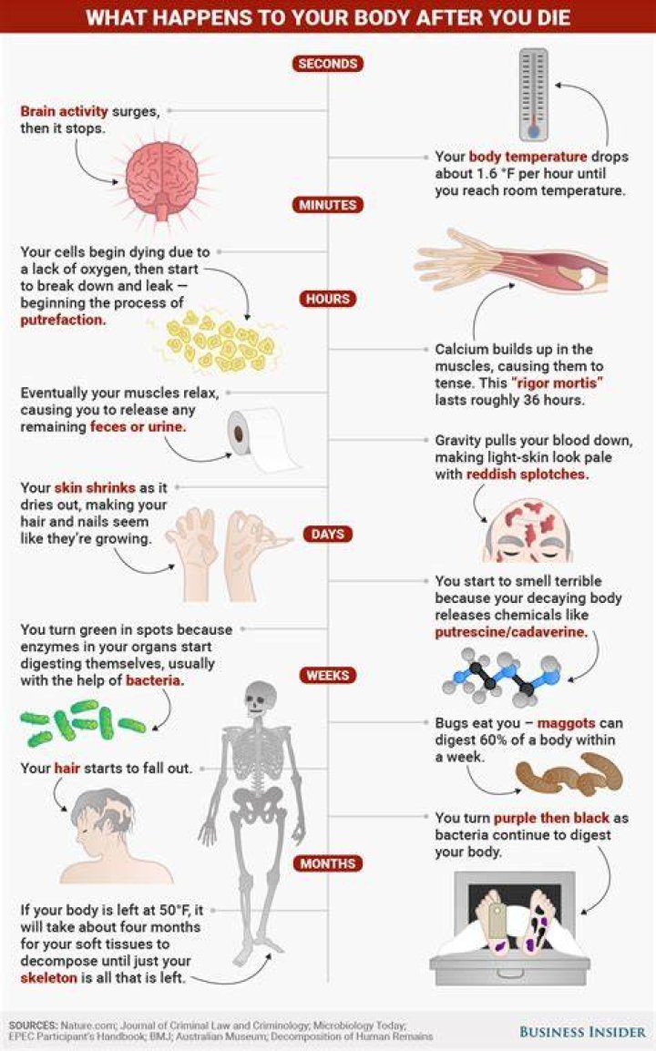 What Happens To Your Body When You Die