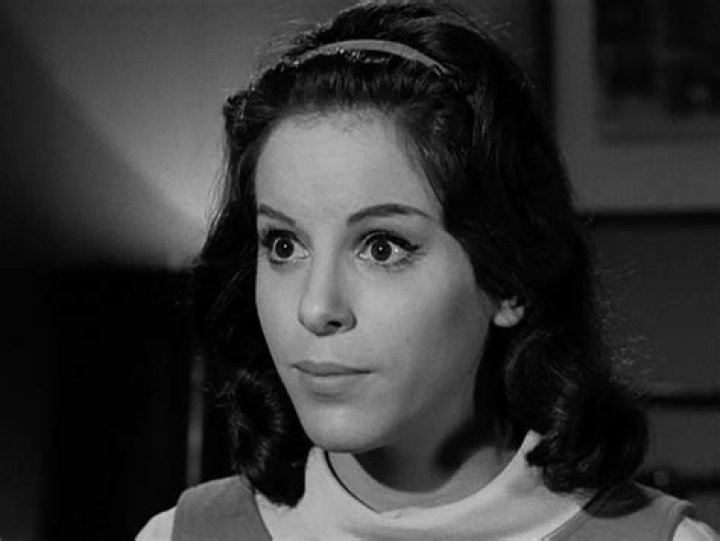 Young Agnès Sorel